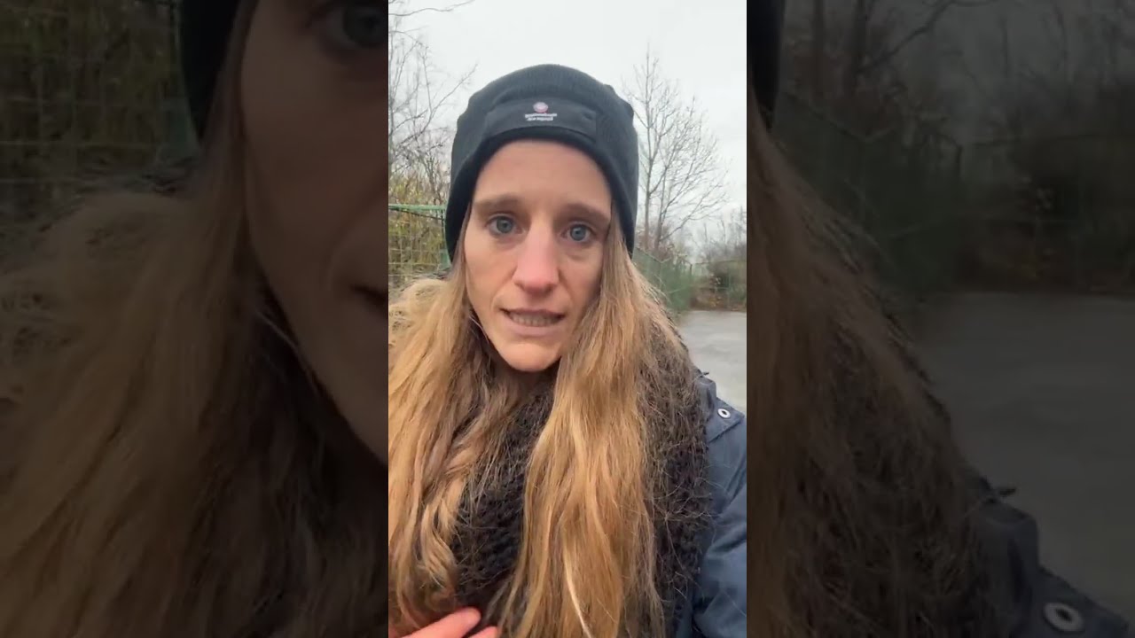 Wir sind in der Tötungsstation 💔
