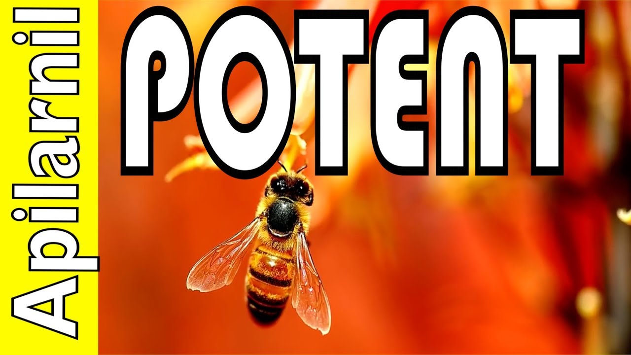 APILARNIL POTENT Produse Apicole Bee Vlog #6