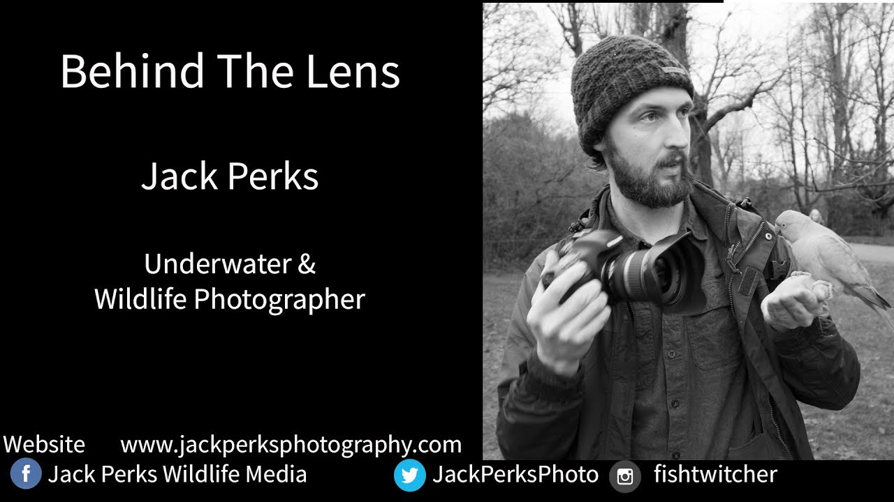 Behind The Lens: Interview With Jack Perks Underwater Photographer