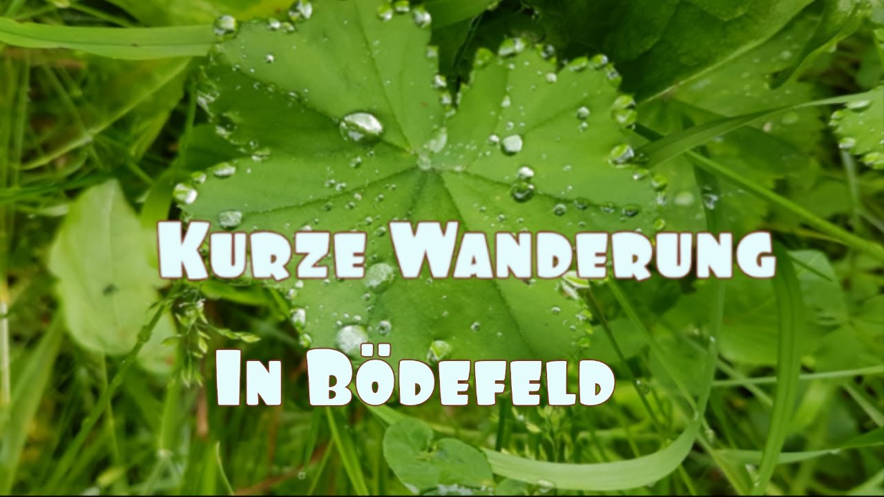 Kleine Wanderung in B&ouml;defeld . #b&ouml;defeld #wandern