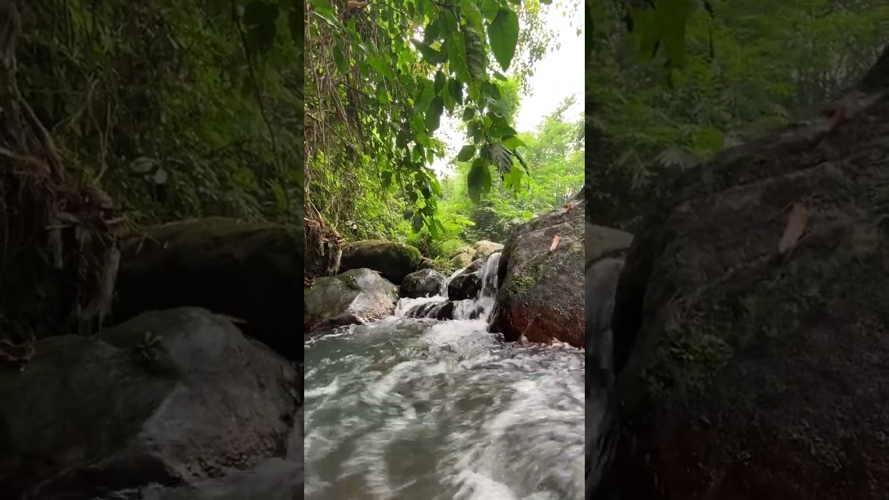 When it's hot cold river is the answer, tara sa tabing ilog sa Tayabas #shorts #fyp #iscp #riverside