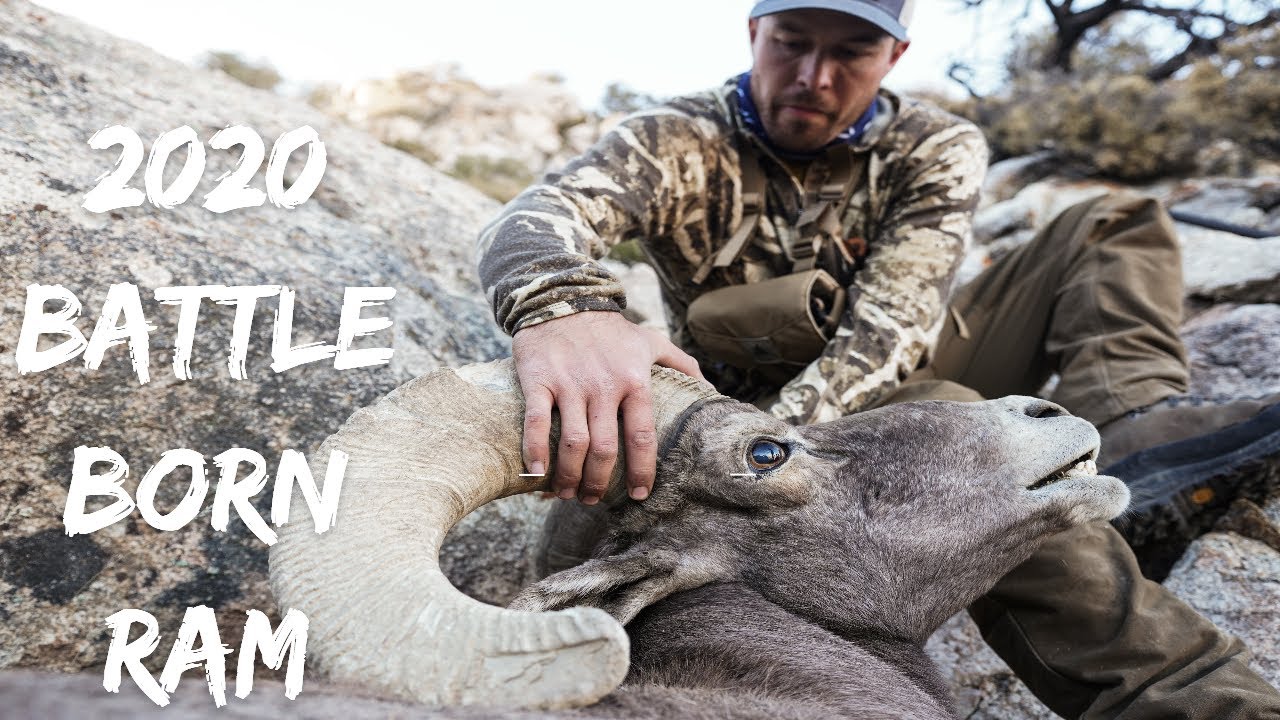 Nevada Bighorn Sheep Hunt - 2020 Battle Born Ram