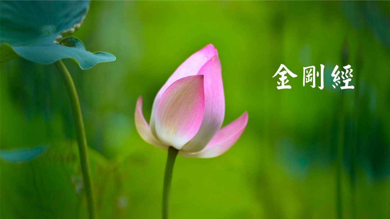 金剛經
