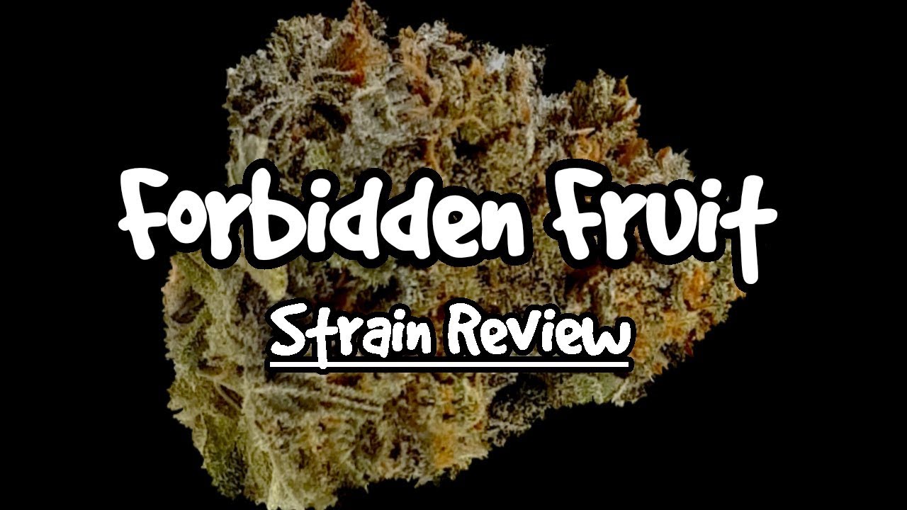 Strain Review - Forbidden Fruit