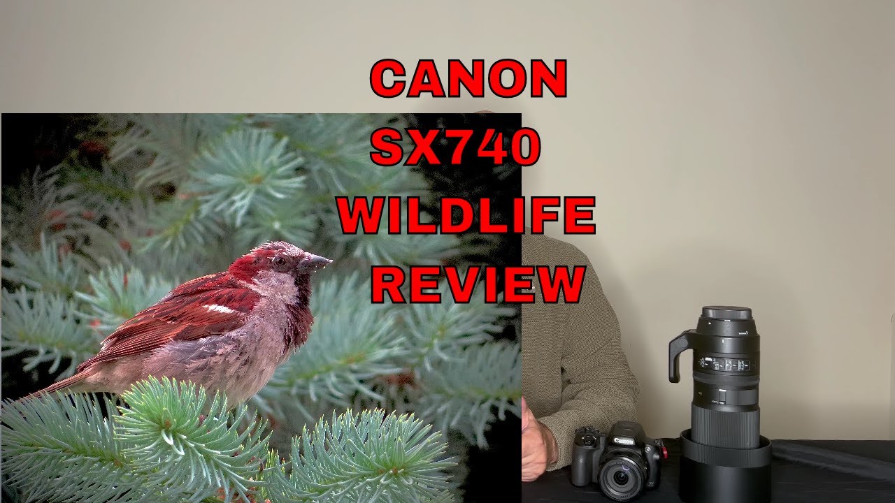 CANON SX740:  WILDLIFE REVIEW