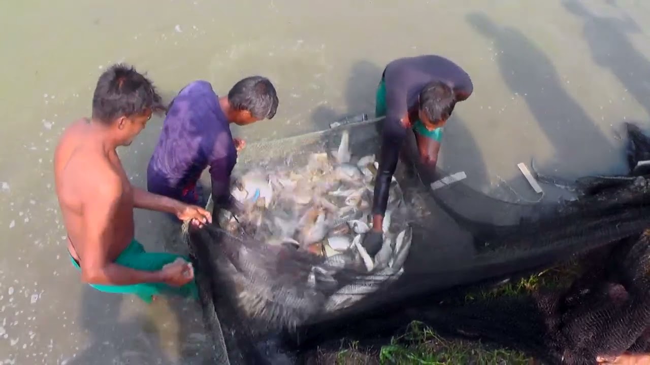 Jashore Agro Fish Project