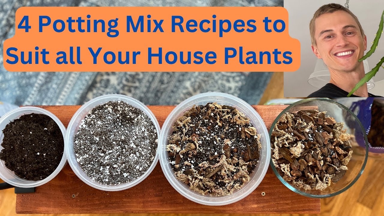 4 House Plant Potting Mix Recipes - Common Plants, Succulents, Tropical Aroids & Orchids
