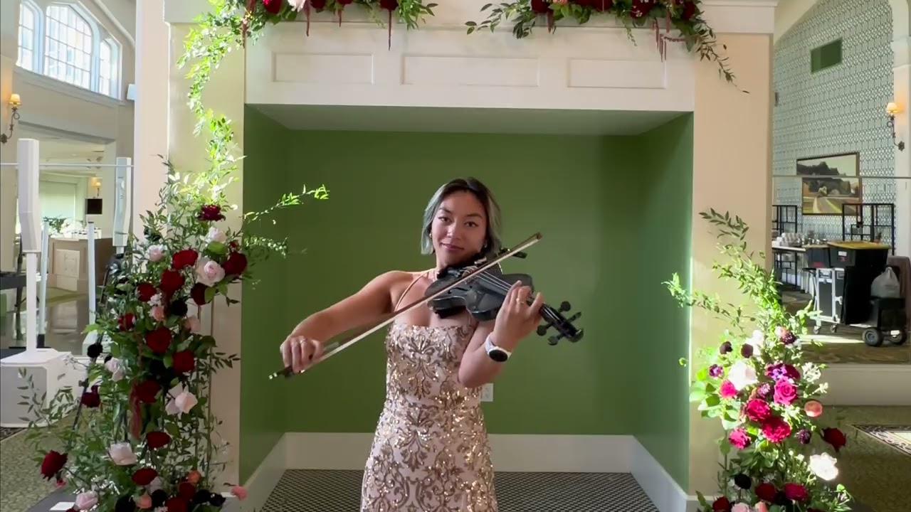 LOVE Kendrick Lamar ft. Zacari Electric Violin Cover Wedding Violinist San Francisco Bay Area Violin