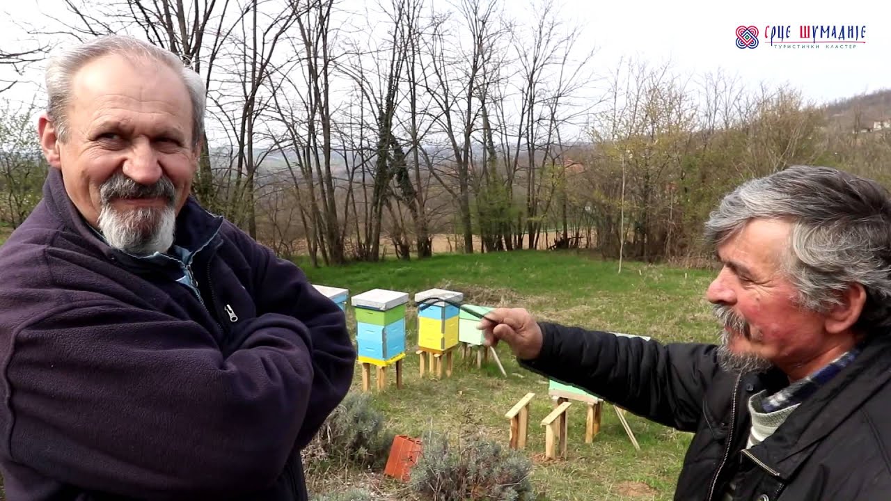Кошнице родни Воја стигле у срце Шумадије