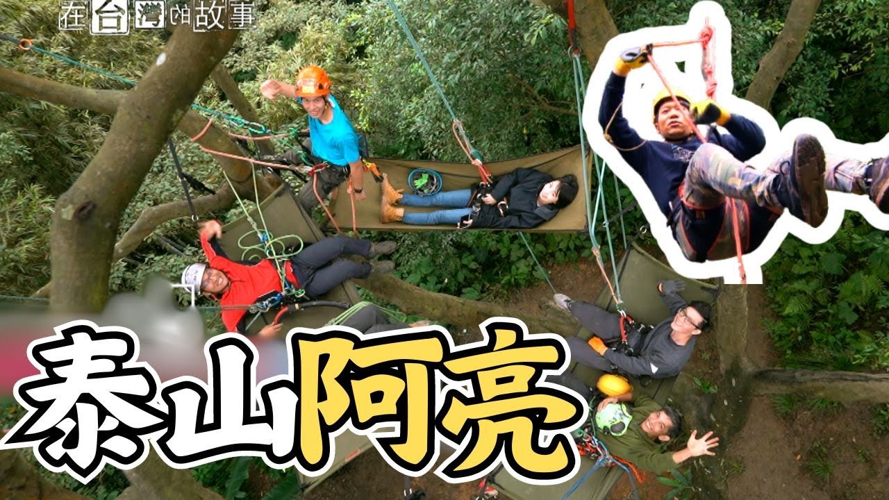 來去樹上睡一晚 如何想像在樹上喝紅酒浪漫 是甚麼滋味【精選】