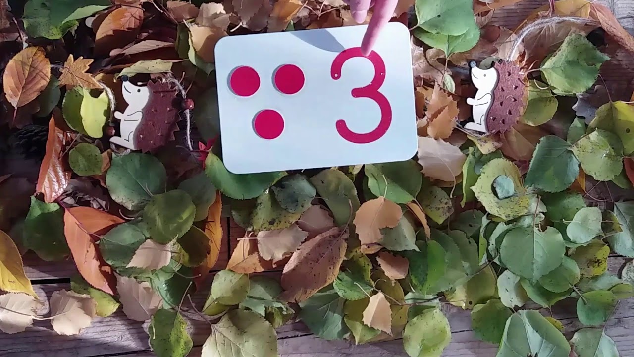 Numărul și cifra 3 (consolidare)