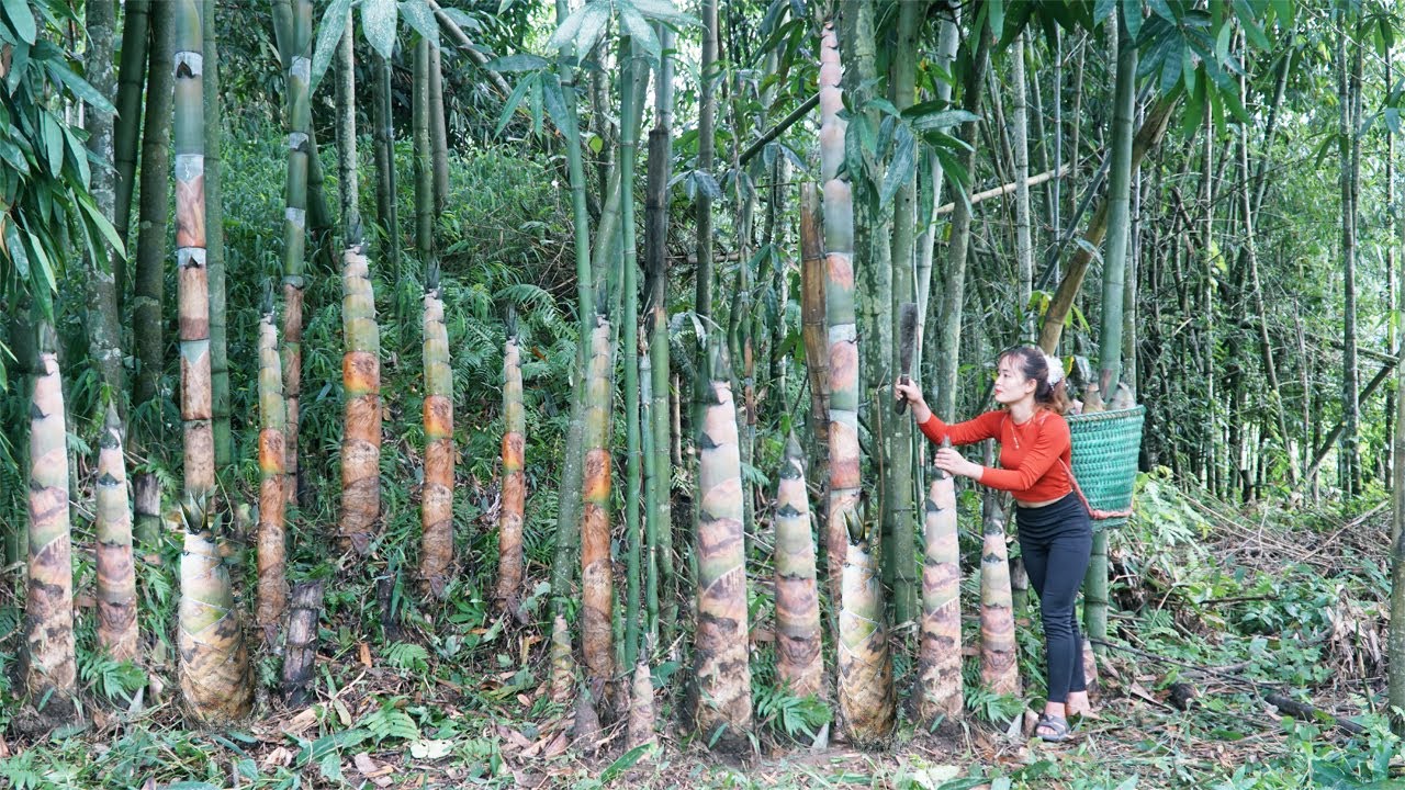 Harvest Lots Of Bamboo Shoots, Use 3-Wheeled Vehicle Transport Bamboo Shoot Go To Sell For Villager