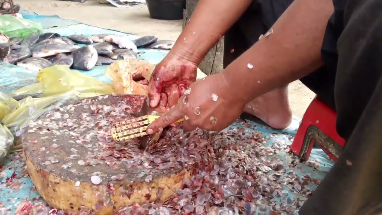 Amazing! fish cutting of head fishes, Boeug Reag Market (ផ្សារបឹងរ៉ែ) Battambang City #aseanfish