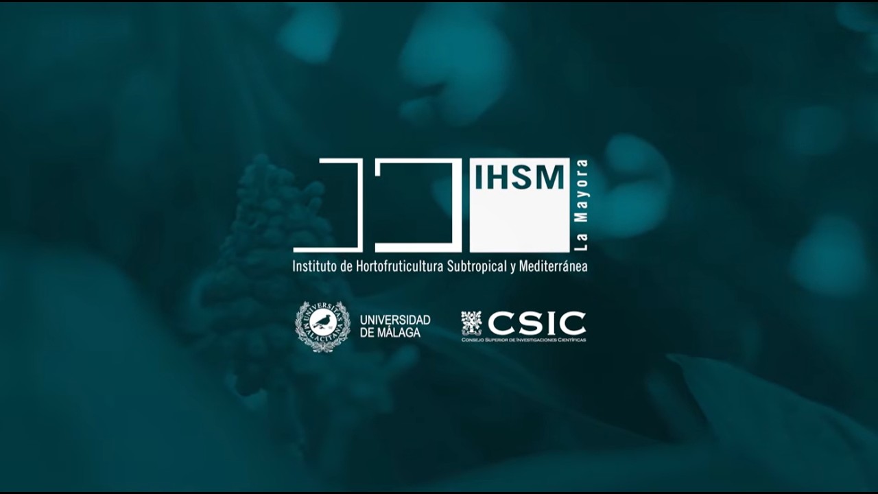 Vídeo corporativo institucional IHSM La Mayora