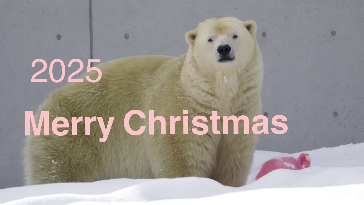 2025 Merry Christmas from Lila
