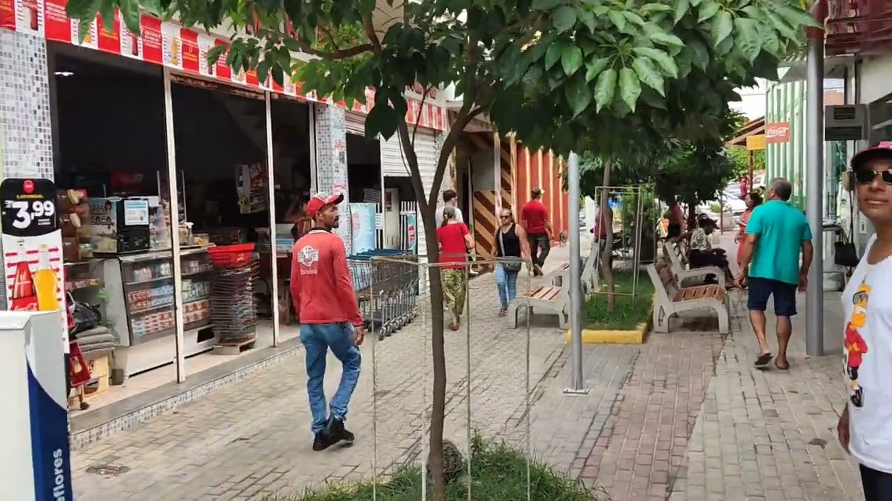 Conhecendo Flores - PE - P3