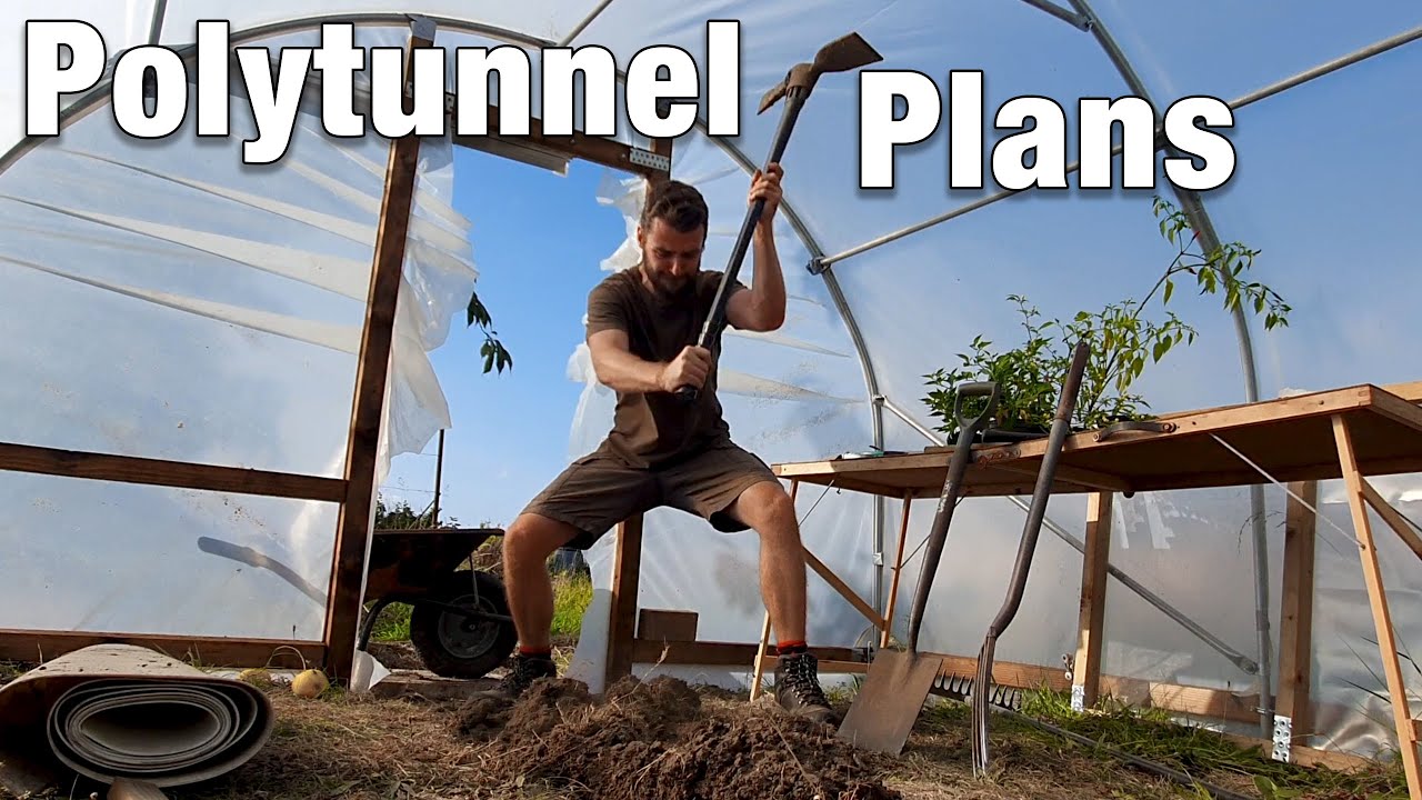 Polytunnel Plans | Small Tour | Bed Clearance
