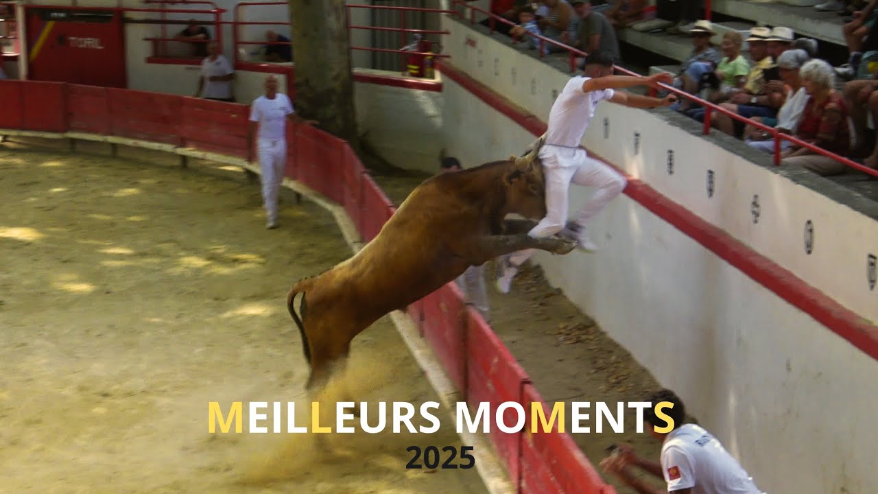 LES MEILLEURS MOMENTS DE 2025 - PARTIE 2 