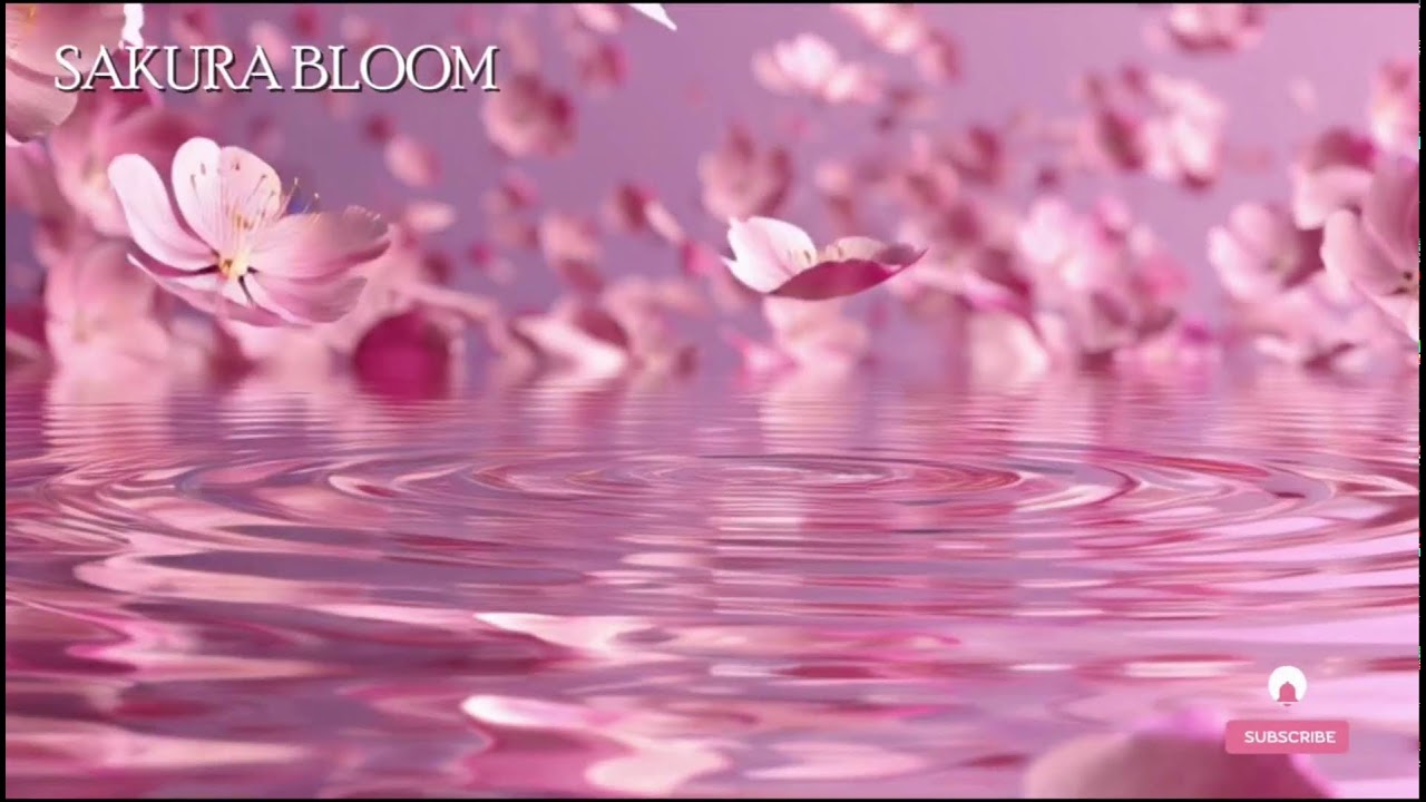 🔴 桜の調べ – 日本庭園の水音と風鈴の癒し | 心を落ち着ける音楽👉 Zen garden + wind chimes vibes.