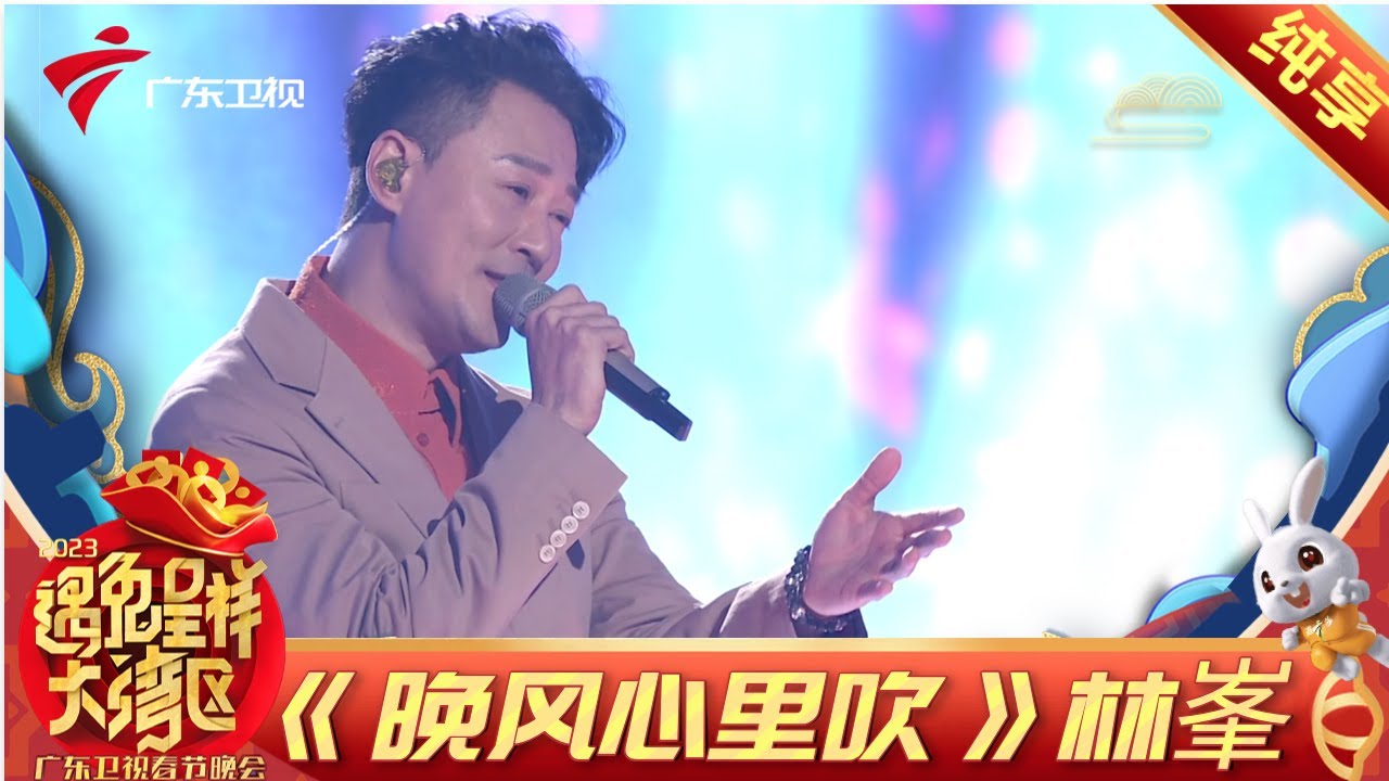 【纯享】终于等到林峯版《晚风心里吹》新年就被林峯的声音治愈到了! 一开口满满故事感【2023湾区春晚】