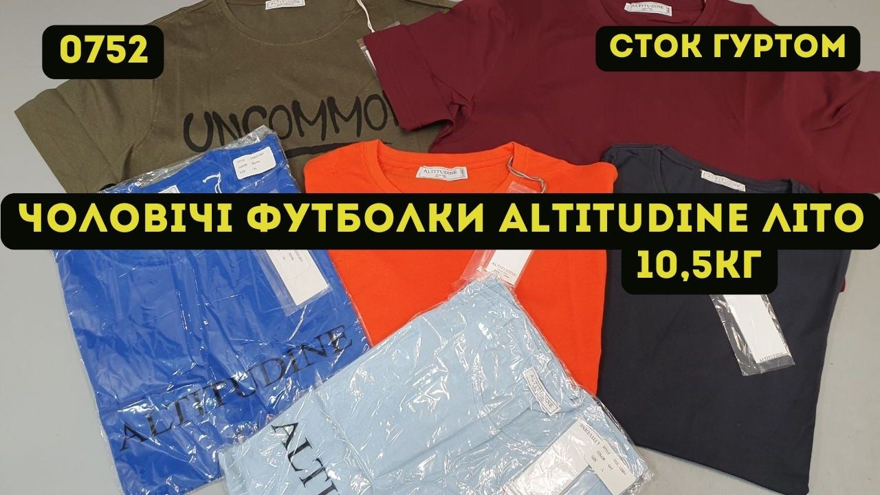 🟢СТОК ОПТОМ [L-TEX] / Мужская футболка Altitudine. Лето. 10,5кг