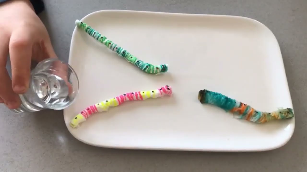 Petit ver de terre : exp&eacute;rience pour enfants
