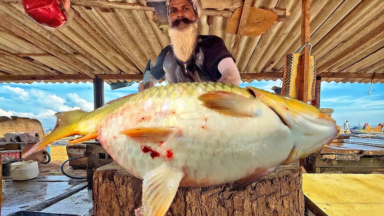 Wow Amazing 😍 Fish Cutting Masters – Legendary Cuts You Must See!