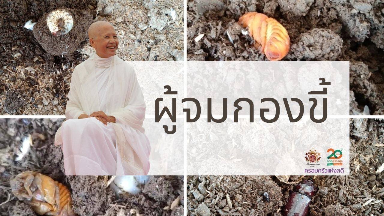 ผู้จมกองขี้