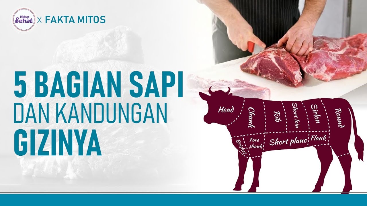 5 Bagian Daging Sapi Terbaik, Mana yang Paling Bergizi? | Hidup Sehat tvOne