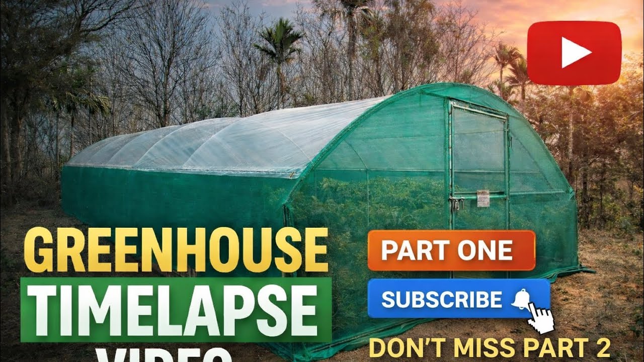 Amazing Greenhouse Build Timelapse 🌱 | Part 1 |subscribe ⏩ Don’t Miss Part 2 greenhouse farming 