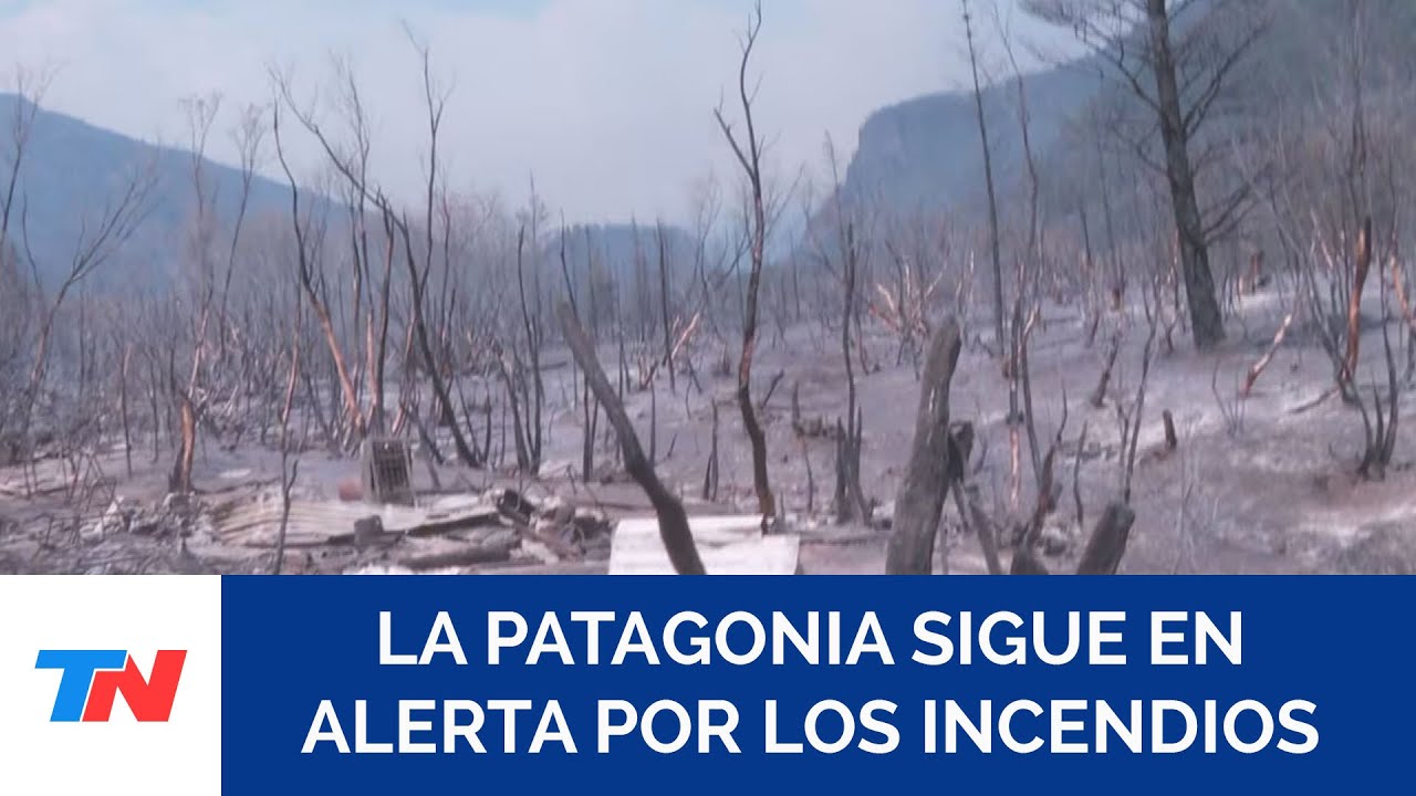 INCENDIOS EN LA PATAGONIA: aseguran que el responsable podría recibir hasta 20 años de prisión