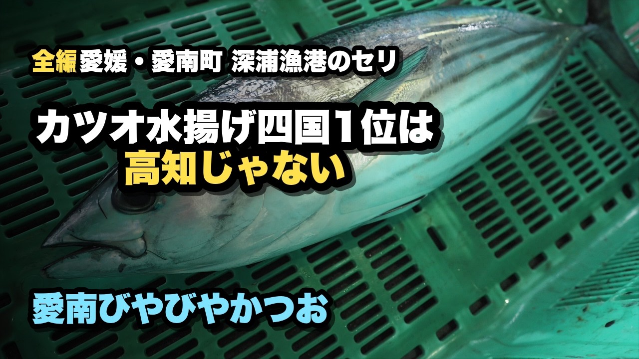 高知じゃないよ！カツオ水揚げ四国一愛南漁協