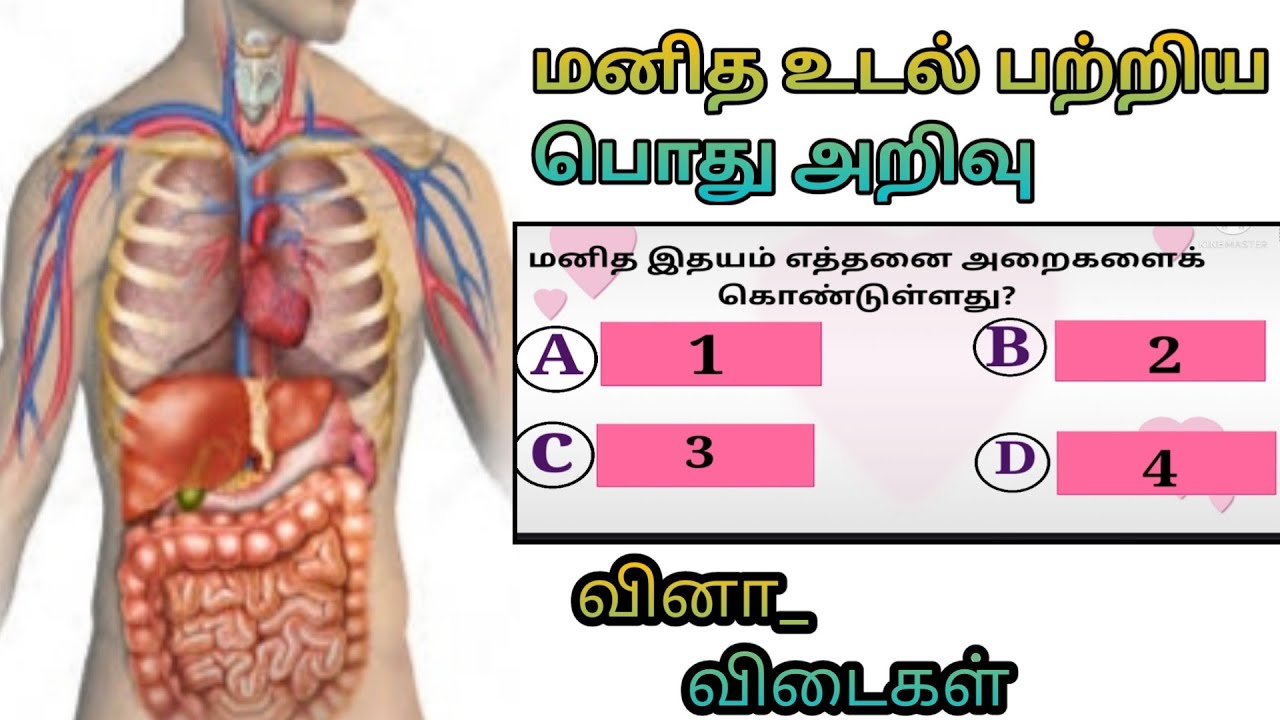 Tamil GK Questions with Answers on human body - Human body General knowledge questions