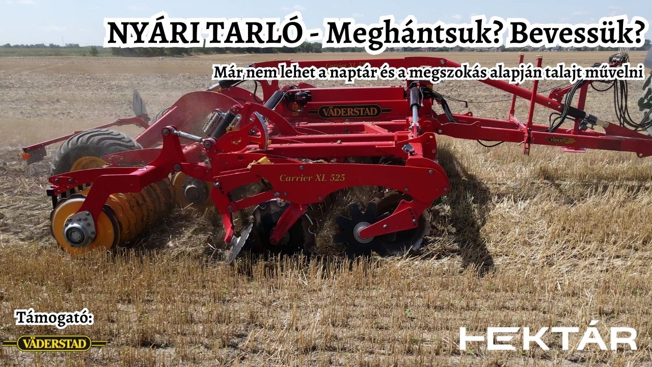 A NYÁRI TARLÓ kérdései: Szántsuk? Tárcsázzuk? Hántsunk-e egyáltalán vagy bevessük direktben?