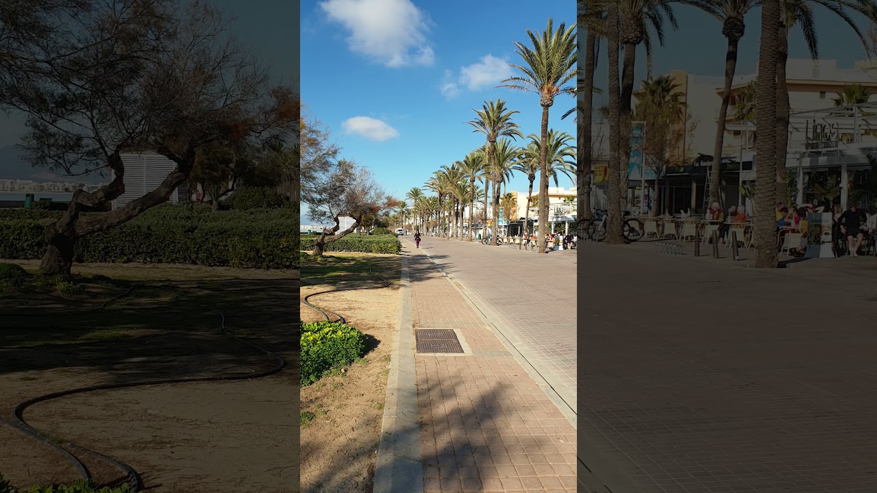 🇪🇸 Arenal Now 📷 Mallorca 🌊 Playa de Palma 🌴 December 16 ☀️🌡17°C