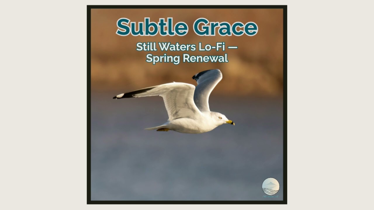 Subtle Grace — Still Waters Lo-Fi — Spring Renewal