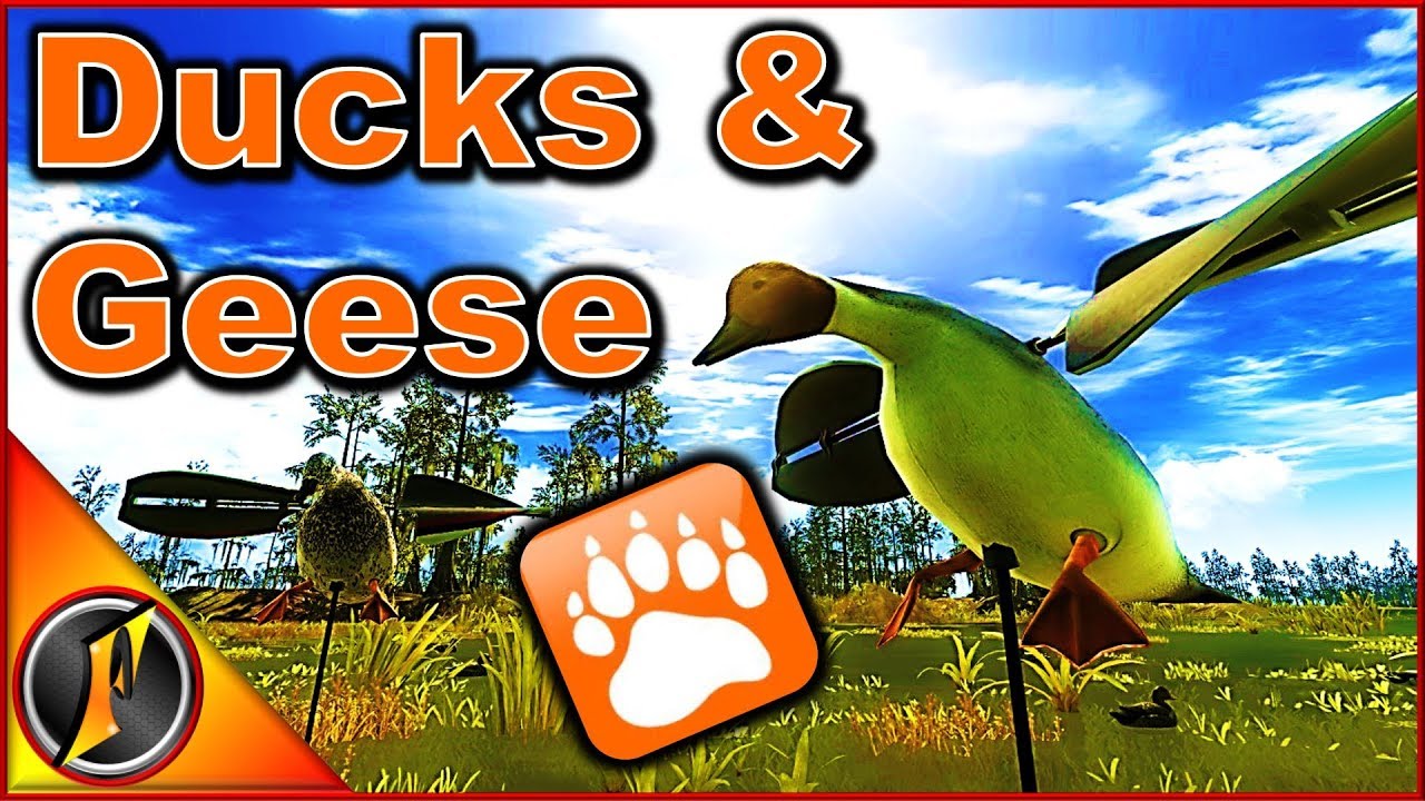 Duck & Goose Hunt | theHunter Classic 2018