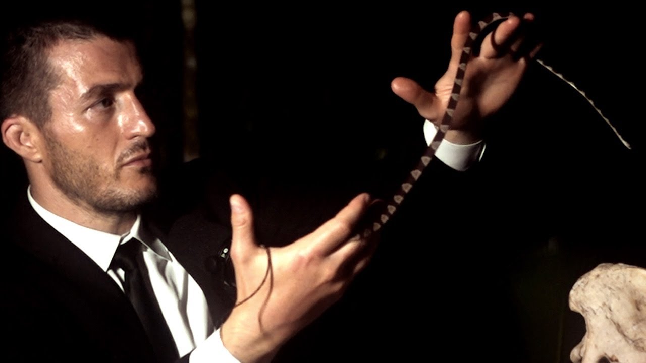 Snake interrupts Lex Fridman podcast recording