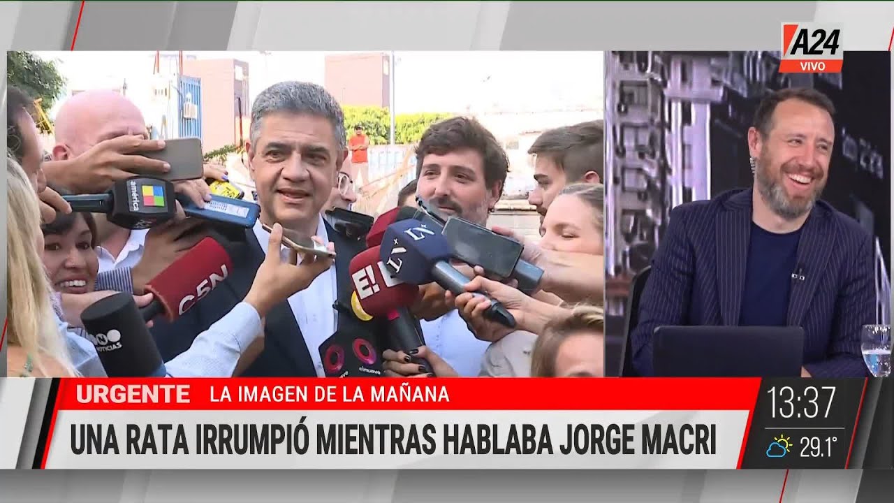 🐀 Una rata interrumpió una entrevista con Jorge Macri: 