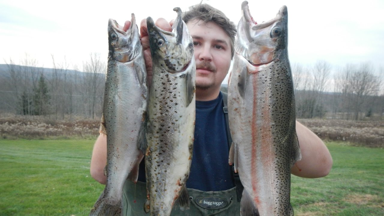 Vlog #2: Exploring Creeks for Salmon and Trout Fishing