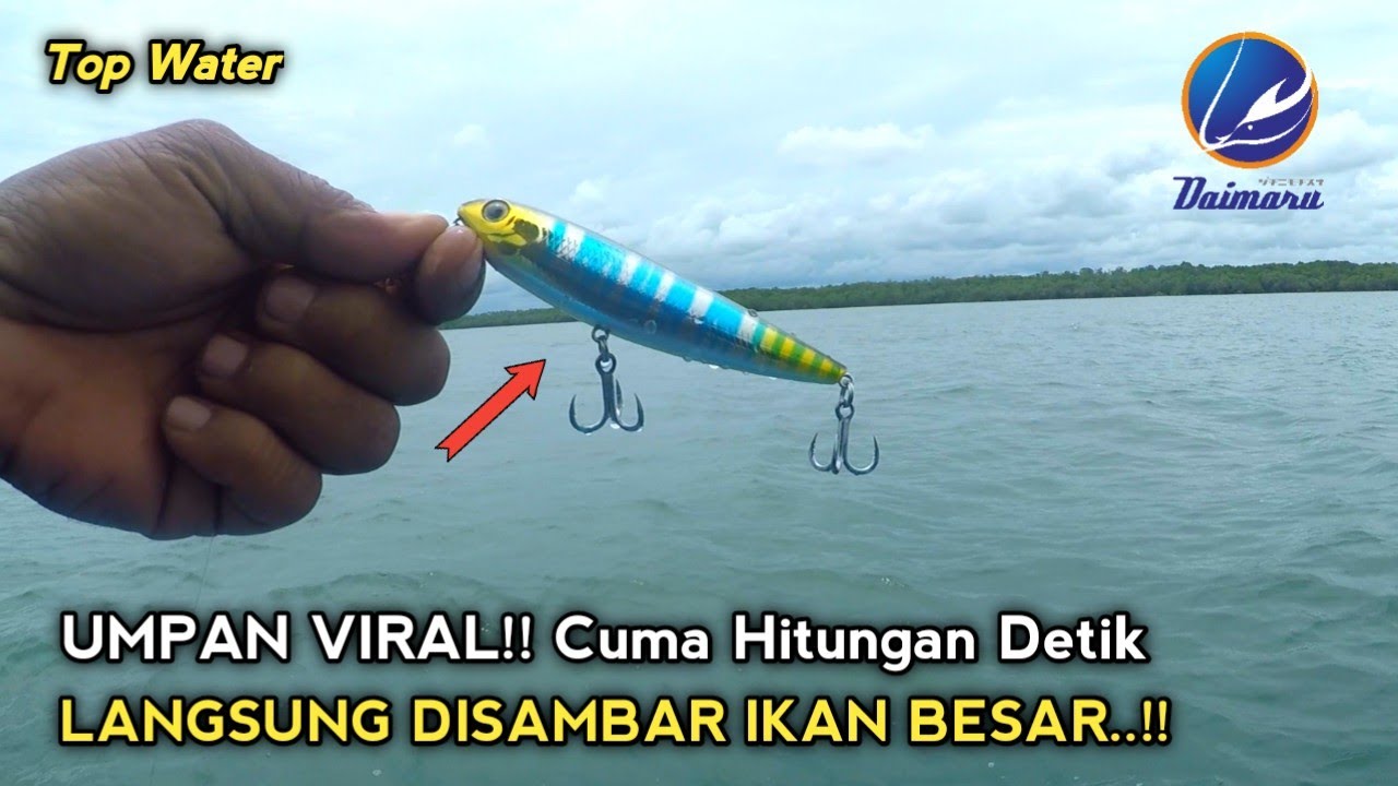 Test Umpan Viral!! Daimaru MAD DOG 14.5gr di Tebing Karang!! Extreme Ultralight Casting