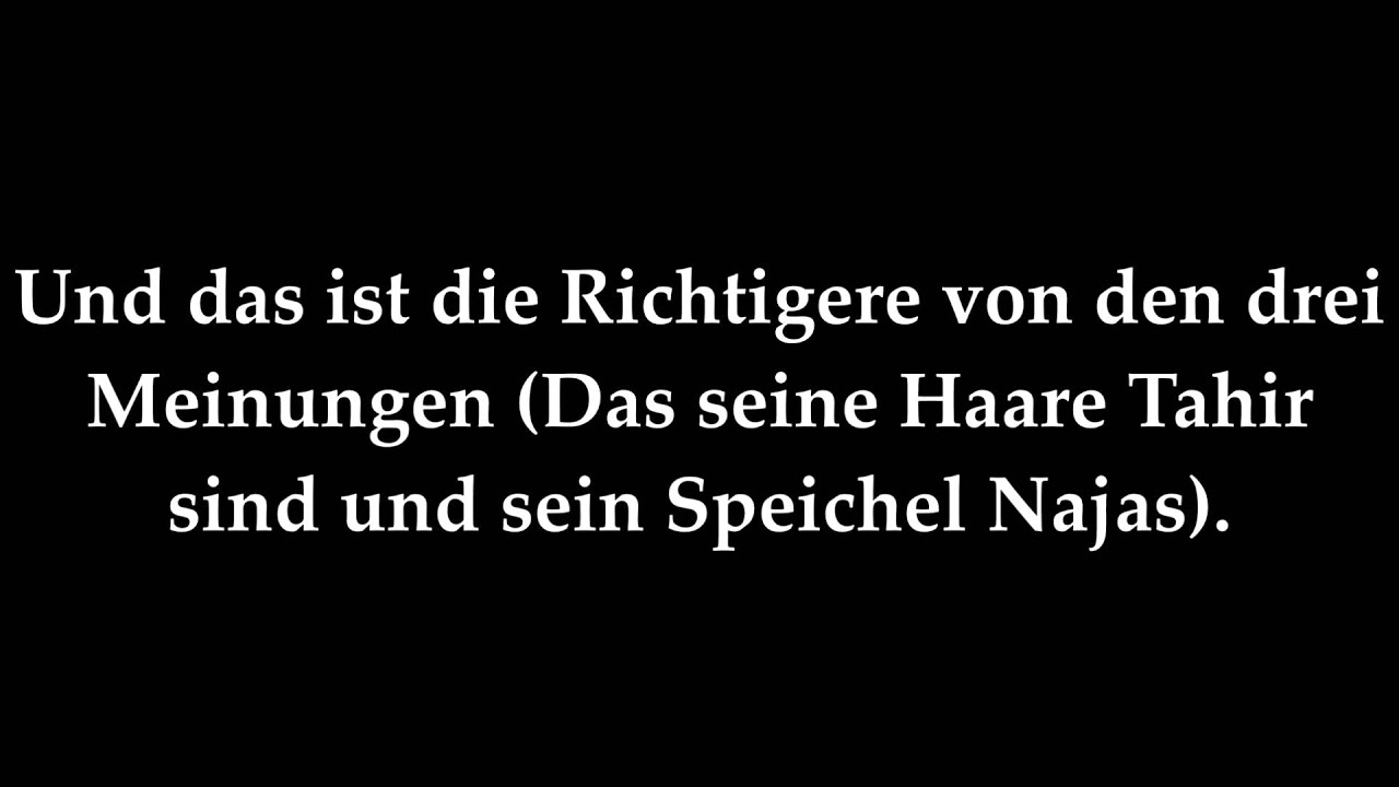 Hukm (Islamisches Urteil) über die Anschaffung eines Hundes