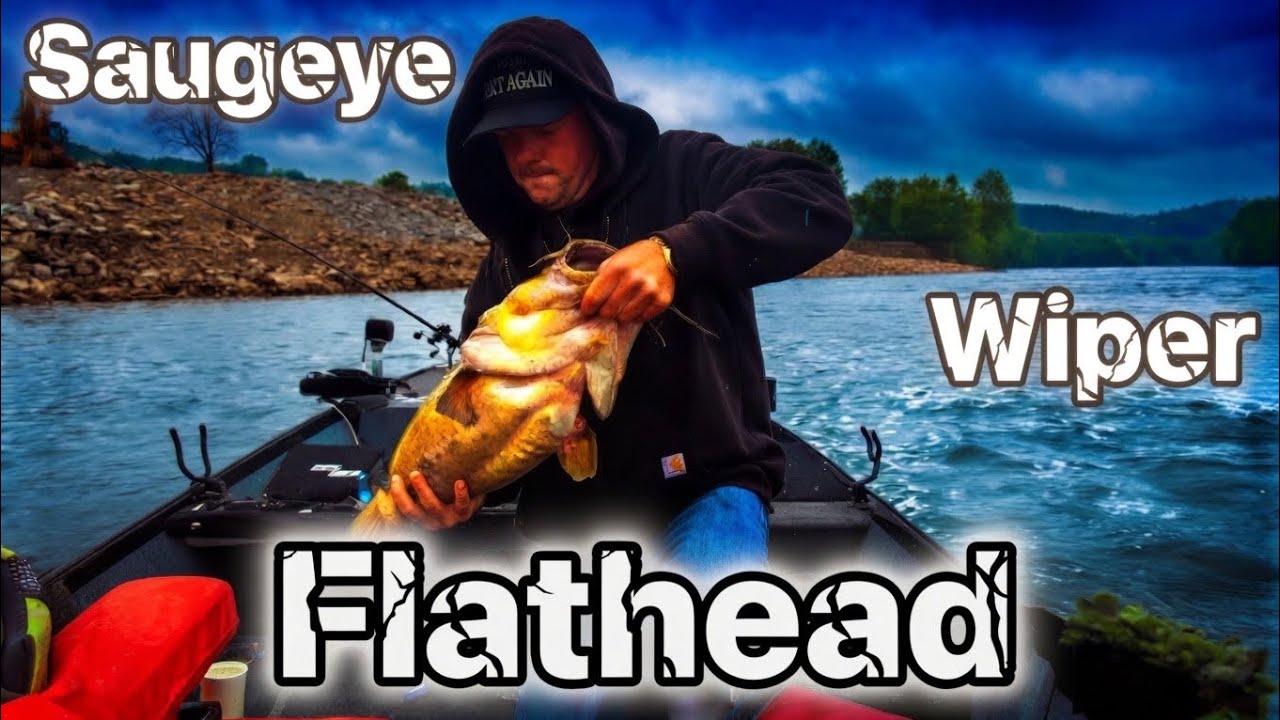 PB FLATHEAD- Muskingum River Pre-Spawn catfish