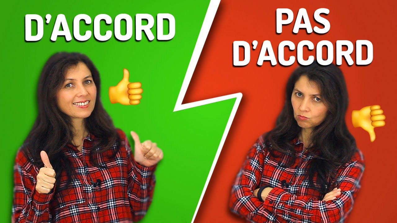 Comment exprimer son accord et son désaccord en français? 👍👎