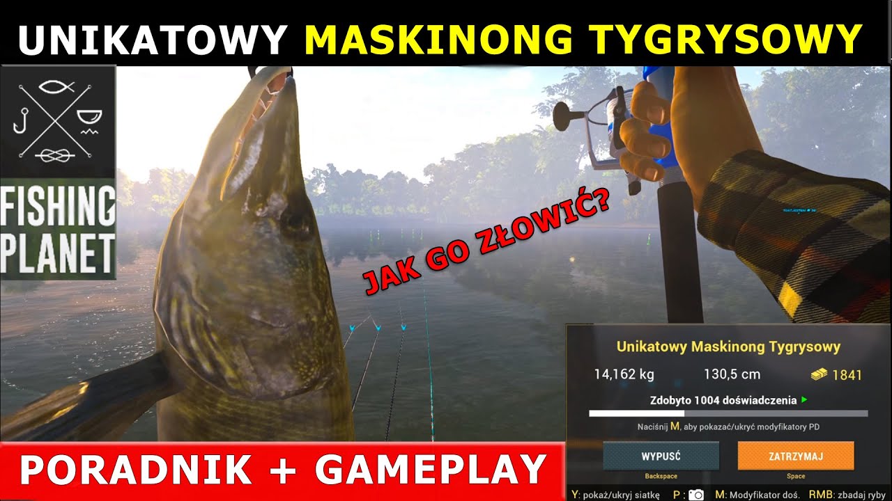 Fishing Planet. Unikatowy MASKINONG TYGRYSOWY. Unique Tiger Muskie Saint Croix Lake Michigan