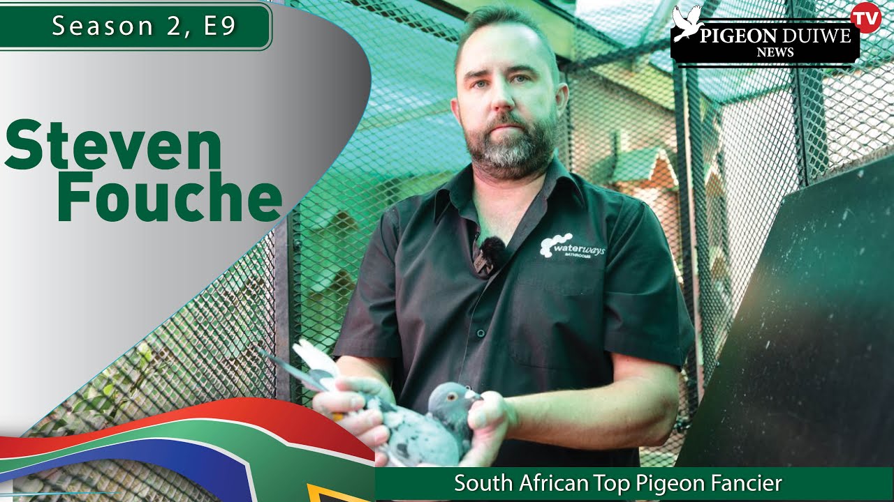 Pigeon Duiwe News TV- Steven Fouche - SA Top Pigeon Fancier. S2: E9