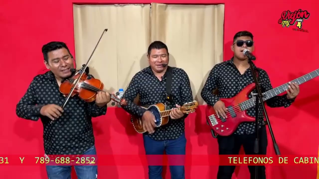 El León y El Zorrillo    [Trio Los Implacables] 