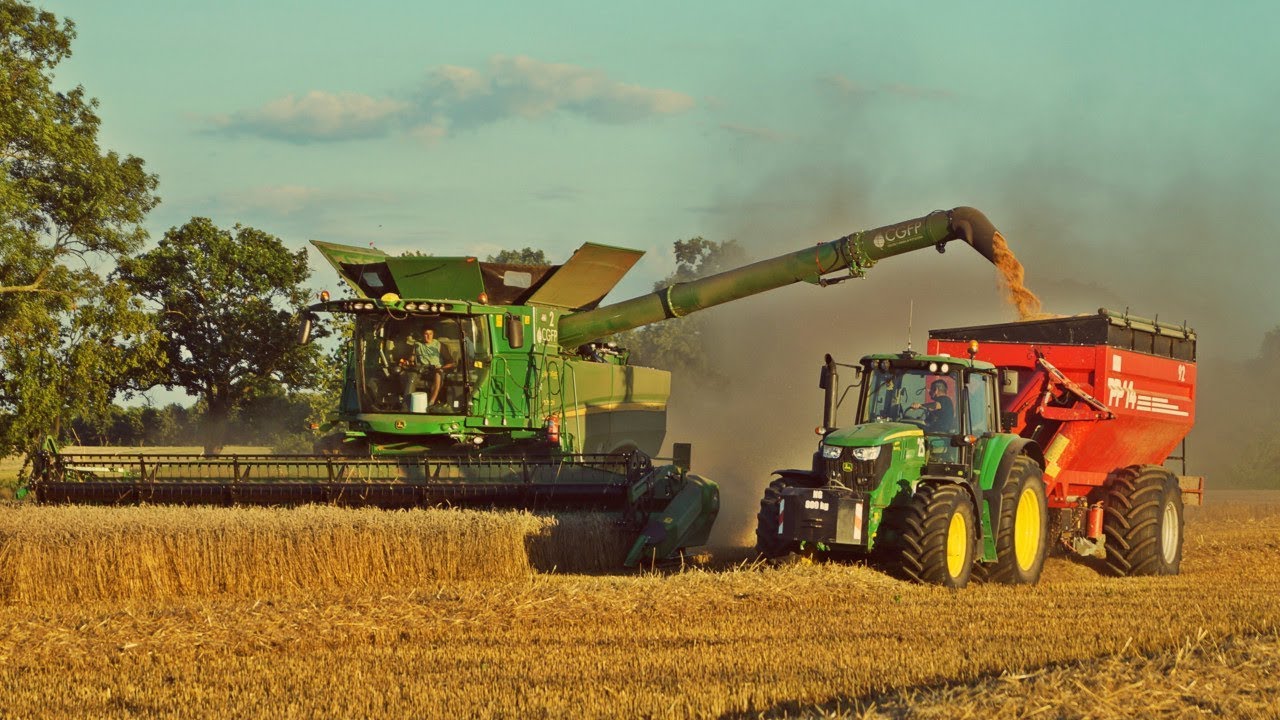 Żniwa 2018, kombajny John Deere S790i i Case IH 8230 w pszenicy