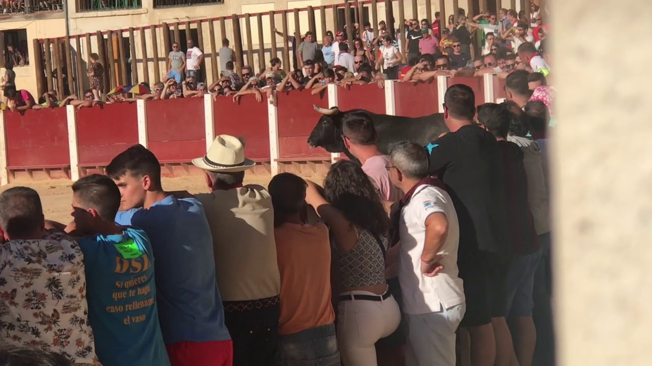 SAN ROQUE: 14/8/19 PEÑAFIEL