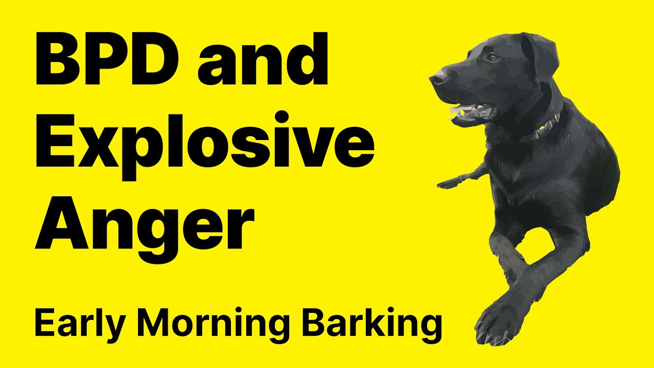 BPD and Explosive Anger | BPD | Borderline Personality Disorder